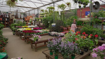 Fototapeta na wymiar Vibrant Flower Shop interior store. Horticulture gardening local business retail place
