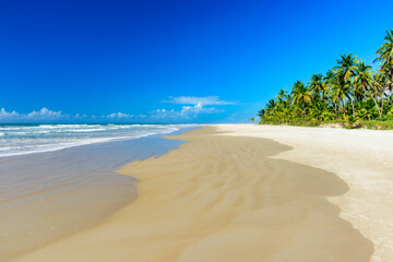 Tropical beach with coconut trees next to the sea and sand in Serra Grande on the coast of Bahia
