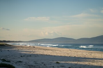 Fototapeta na wymiar waves breaking in the sand of a beach in australia