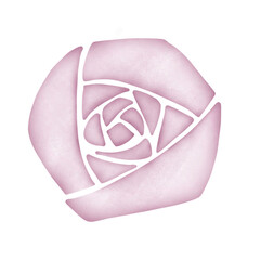 Rose,purple,isolated