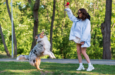 Young woman playing with her aussie shepherd dog in green park. Active lifestyle for an australian collie, playing fetch on the lawn