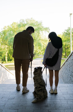 Two people with a dog on the leash outdoors, backs to camera. Walking with dog, young couple and their pet in the park