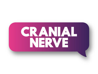 Cranial Nerve are a set of 12 paired nerves in the back of your brain, text concept background
