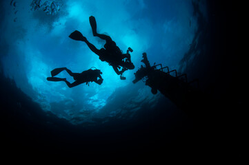 Fototapeta na wymiar Scuba Diver silhouette