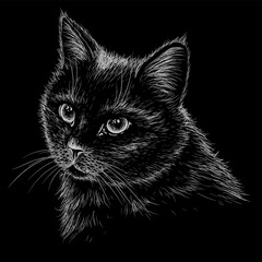 Vector illustration of a muzzle of a black cat in the style of engraving