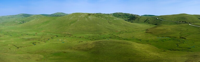 Fototapeta na wymiar Thursday plateau and grazing sheep. ordu. aybasti