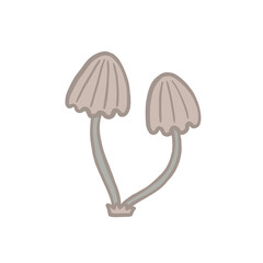 Mushrooms Illustration Nature Fungi