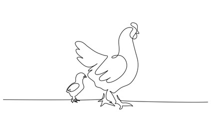 Continuous line art or One Line drawing of chicken for vector illustration, business farming. chicken pose concept. graphic design modern continuous line drawing © Candra