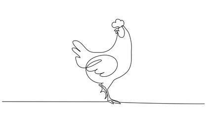 Continuous line art or One Line drawing of chicken for vector illustration, business farming. chicken pose concept. graphic design modern continuous line drawing