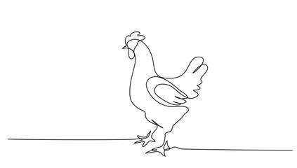 Continuous line art or One Line drawing of chicken for vector illustration, business farming. chicken pose concept. graphic design modern continuous line drawing