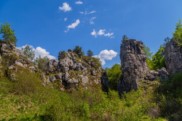 Drevenik Nature Reserve