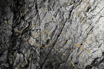 Black and white of granite stone background with mineral gold on texture