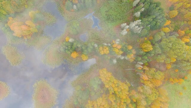Aerial foggy top-down view of Kirkilai karst lakes in the bright autumn morning