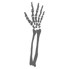 Fototapeta premium hand skeleton