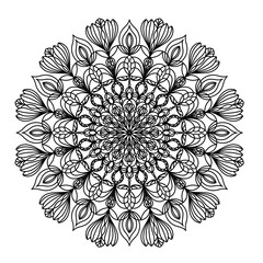Mandala, a delicate ethnic ornament. Circular pattern. 