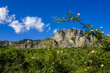Demirci Mountain with rocks and cliffs, stones and boulders covered with greenery with branches of...