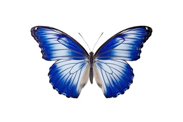 Beautiful butterfly isolated on white transparent background , PNG file , Created with Generative Ai Technology