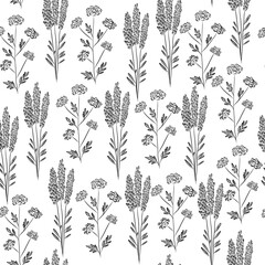Lavendar and valerian plant seamless pattern in sketch vintage style
