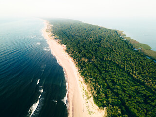 Beach with white sand and green forest. Aerial view of Curonian spit, Russia.