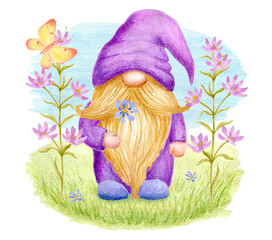 Cute summer Gnome with meadow flowers on green lawn and butterfly. Holiday card design. Watercolor drawing clipart.