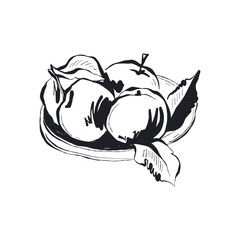 Modern Art Illustration. Matisse Abstract Set, Aesthetic Modern, Boho Decor, Minimalist, Illustration, Vector, Poster, Postcard. Aesthetic minimalist design. Vector illustrations.