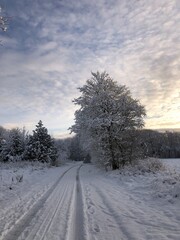 winter road in the snow