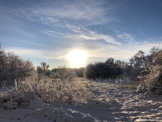 sunset in the forest with snow in winter
