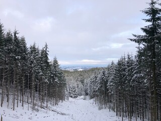 Obraz premium winter landscape with snow covered trees