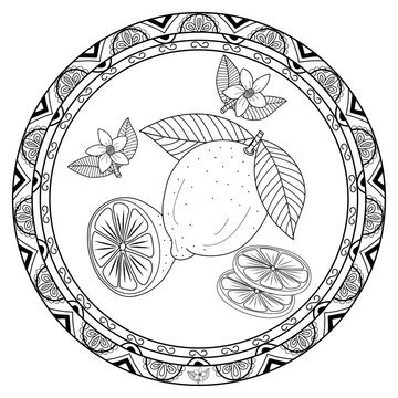 Vector illustration of mandala frame with lemons for coloring book, cornice mandala vettoriale con limoni da colorare