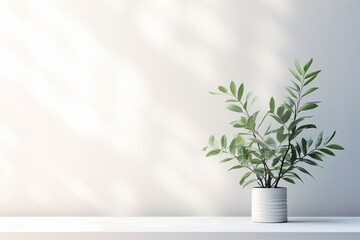 Minimalistic light background with blurred foliage shadow on a white wall. Beautiful background for presentation with with smooth floor 