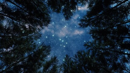 Forest trees at stary night, blue sky and the milky Way through the silhouettes of the trees. Camping at nature, looking from the bottom up to sky, view from below. - Powered by Adobe