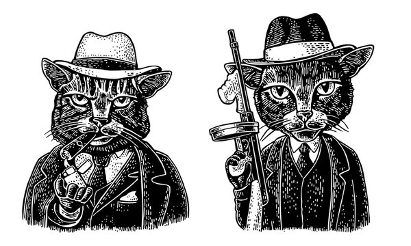 Cats mafia. Don with cigar, soldier gun. Engraving