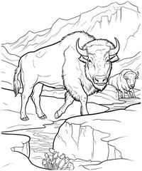 american bison coloring Page for adults vector illustration © Farida