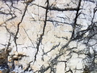 Background of gray stone in cracks