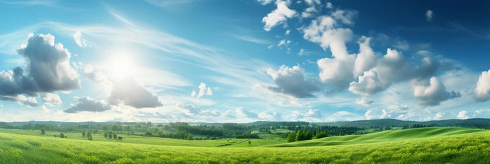 Fototapeten Beautiful panoramic natural landscape of a green field with grass against a blue sky with sun. Spring summer blurred background © © Ai Factory