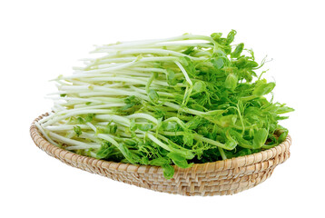 green pea sprouts in basket on transparent png