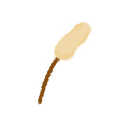 white grass isolated on white background