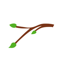 branches with leaves vector