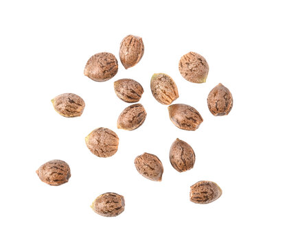 Cannabis seeds, Marijuana seeds on transparent png