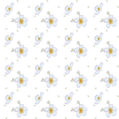 Frangipani flower and daisy pattern
3000 x 3000 px PNG