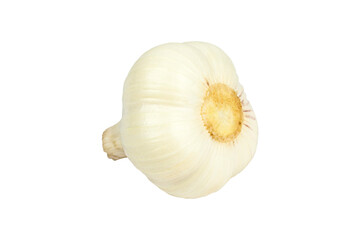 garlic. Young garlic isolated from background