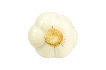 Obraz na płótnie Canvas garlic. Young garlic isolated from background