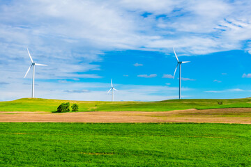Wind turbine in the field