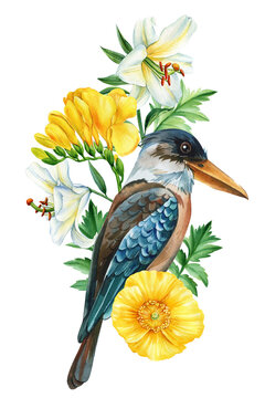 recommend clip art: Australian bird and flower, kookaburra isolated white background. Watercolor hand drawn painting. Poster