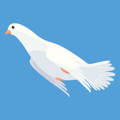 Pigeon animation. Bird motion wings in heaven. Flying migratory pigeon, cartoon vector illustration. Bird dove animation element