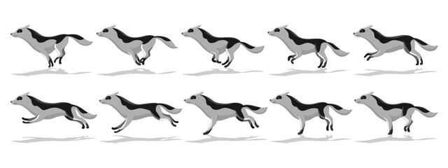 Dog running animation with different creature movements. Doggy poses in movement. Character move for games, cartoon or video. Flat vector illustration