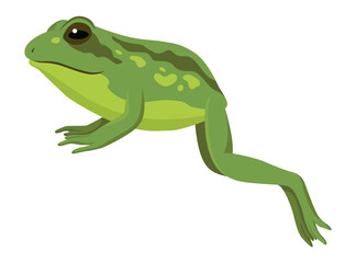 Frog jumping animation icon. Sequences or footage for motion design. Cartoon toad jumping, animal movement concept. Frog leap sequence, vector illustration