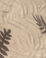 Sand on the beach with tropical leaves shadows frame. Copy space
