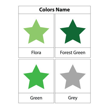 Different color Star Learning colors name. Vector illustration. white background. Vector illustration.