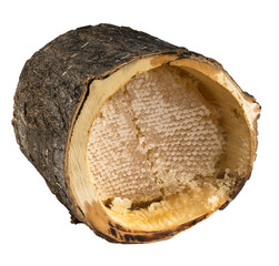 honey in the log